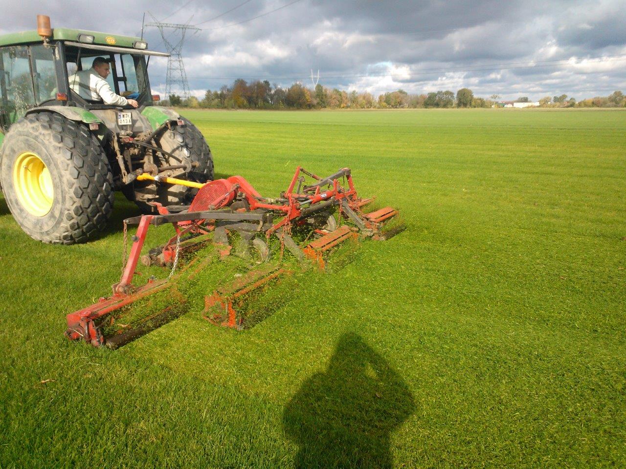 Brouwer  7 Gang Reel Mower- NOW SOLD for sale